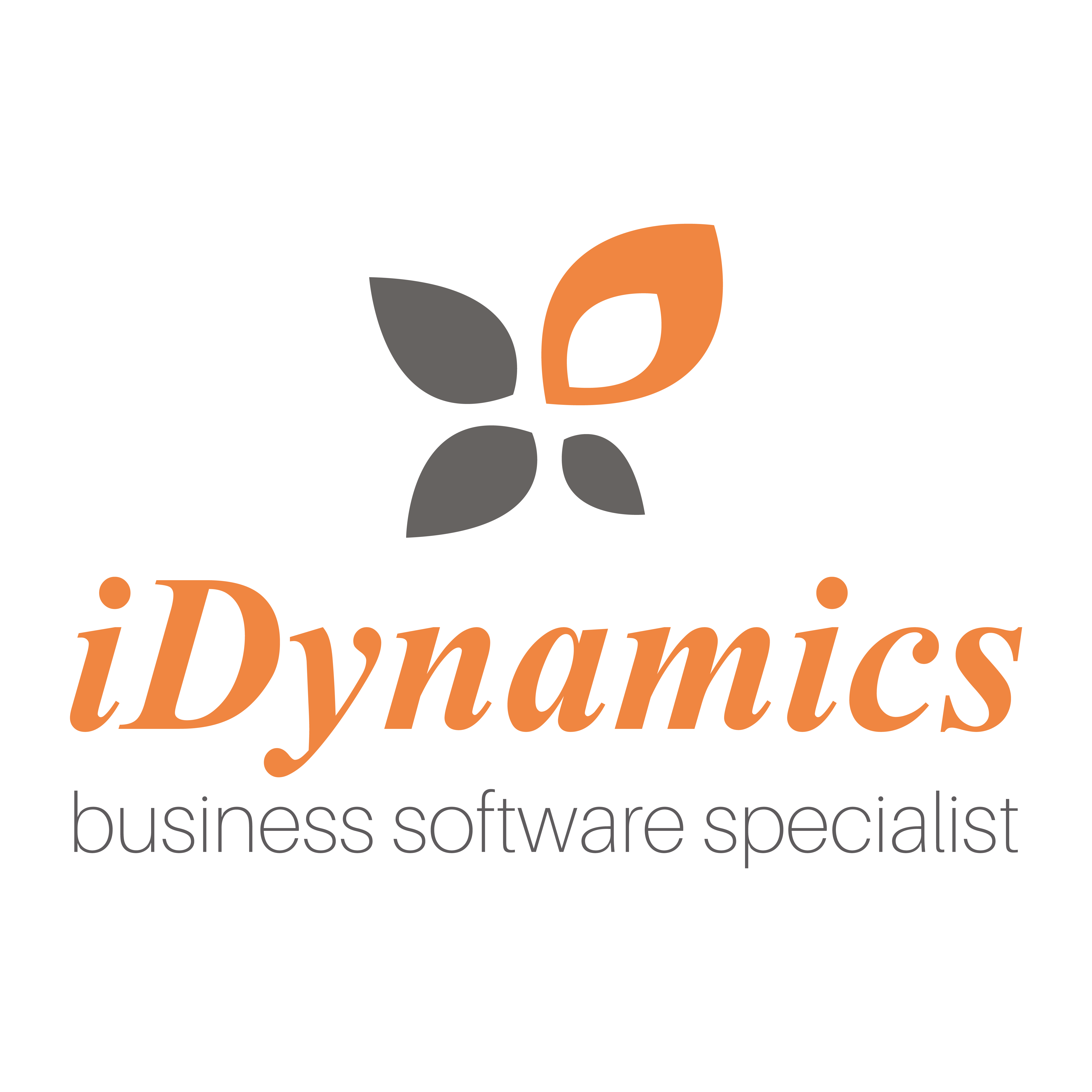 IDYNAMICS SOFTWARE SDN BHD
