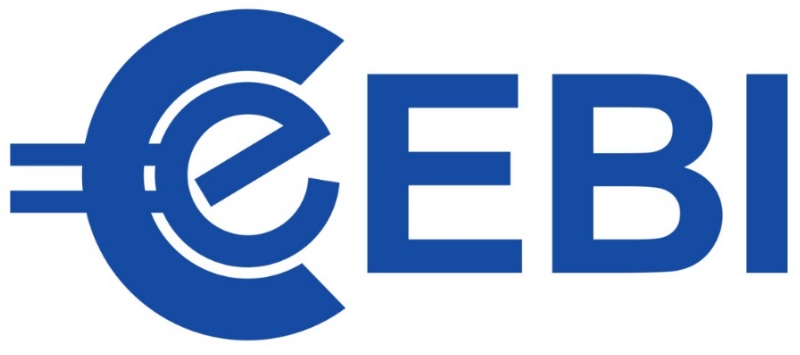 EUROSOLVE BUSINESS INTELLIGENCE SDN BHD